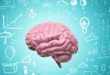 Brasil atinge 5 mil superdotados e assume a sexta posição no ranking global de superinteligentes Divulgação