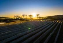 Wine Run chega à Serra Catarinense em agosto