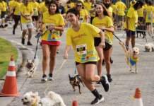 34ª edição da Dez Milhas Garoto também esgota inscrições da Corrida Garotada e Cachorrida