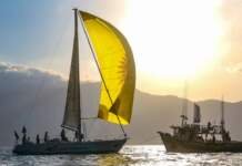 Clássicos batem recorde na 52ª Semana Internacional de Vela de Ilhabela Daycoval