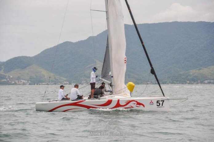 Imagem - Aline Bassi