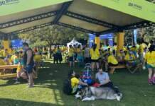 Festival Vamos Passear: domingo (20) é dia de lazer gratuito para todas as idades no Parque da Cidade, em Brasília