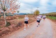 Wine Run – Caminhos de Pedra une esporte e cultura do vinho neste sábado (8), na Serra Gaúcha