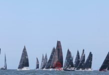 ORC lança novo software de certificação no Brasil pela ABVO