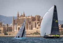 22ª edição da Sandberg PalmaVela segue em crescimento e já alcança a marca de 150 barcos inscritos,