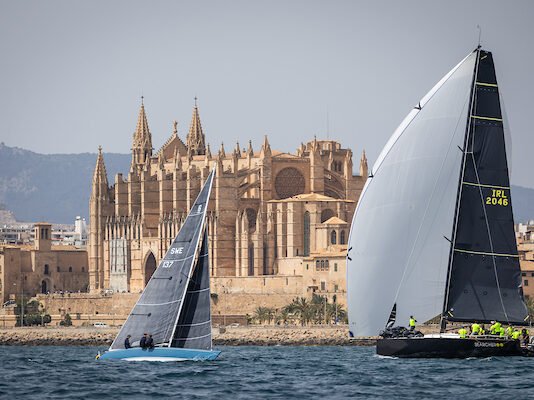 22ª edição da Sandberg PalmaVela segue em crescimento e já alcança a marca de 150 barcos inscritos,