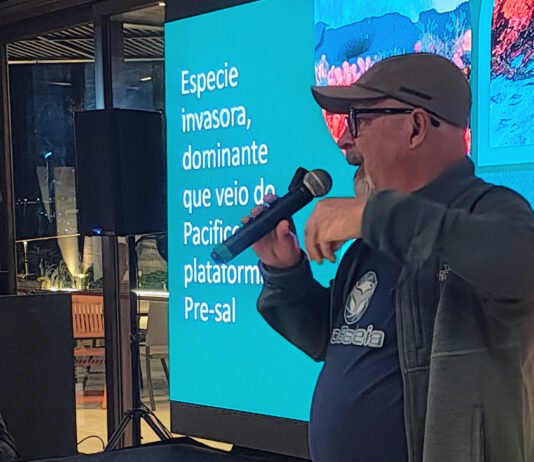 Semana Internacional de Vela de Ilhabela Daycoval reforça compromisso com a preservação do meio ambiente na 53ª edição