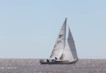 Consolidação na América Latina: Ilhabela atrai frotas internacionais para a Semana de Vela