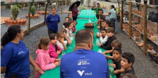 Plantio de hortaliças aproxima crianças de Papagaios da sustentabilidade em projeto esportivo